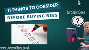 Episode 1: 11 Things to Consider Before You Start Beekeeping | Beekeeping From Day 1