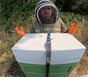 Best Time to Start a Beehive in the UK | Nucleus Colonies