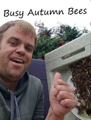 End of Summer Update: Preparing for Winter at Jurassic Bees