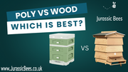 Poly Hives vs. Wooden Hives: Pros, Cons, and How to Choose