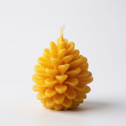 100% Pure Dorset Beeswax Pine Cone Candle — Hand-Poured on the Jurassic Coast