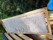 Jurassic Coast Wildflower Honey – 230g Jar (Exclusive to Owermoigne and Surrounding Villages)