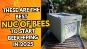 Discover Quality Nucleus Colonies for Sale: Perfect for New Beekeepers or Beekeepers Seeking Improved Genetics