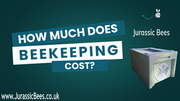 How much does it cost to start beekeeping?
