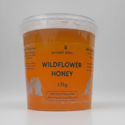 Raw Dorset Honey – 1.5 kg Family Pail of Local Wildflower Honey | Jurassic Bees