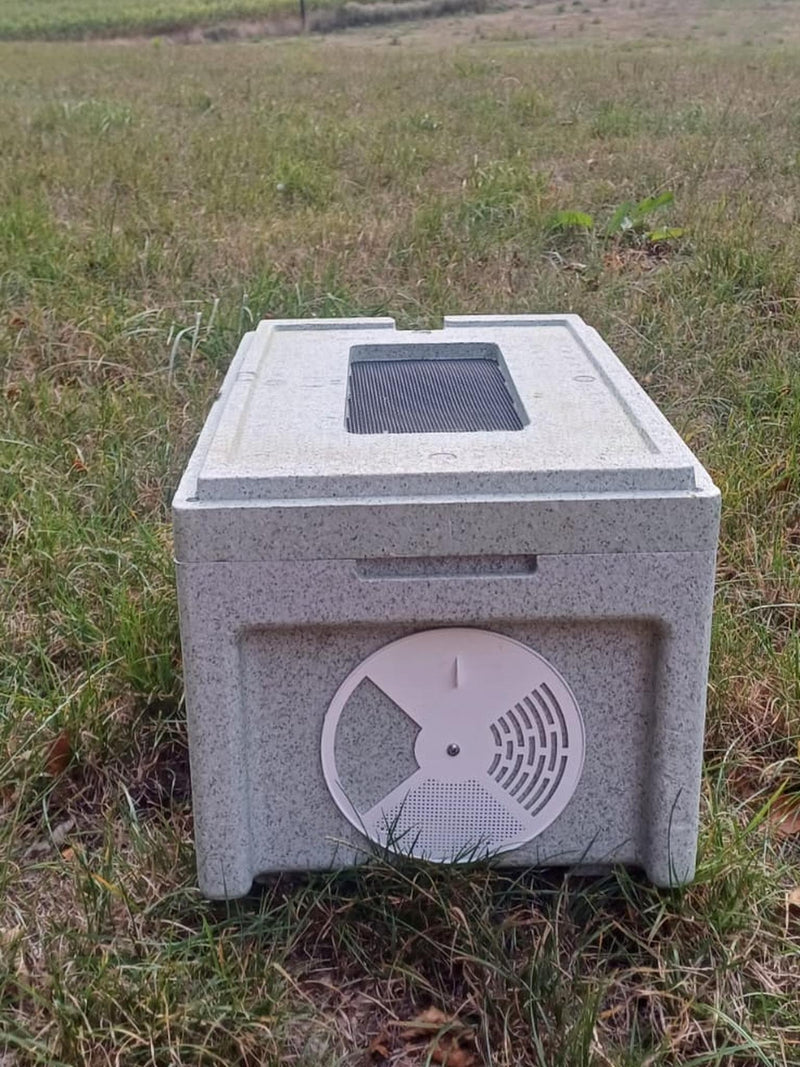 Overwintered Langstroth Nuc for Sale UK | 6-Frame Poly | £330