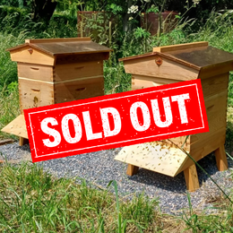 Established Langstroth Beehive with Bees – Dorset