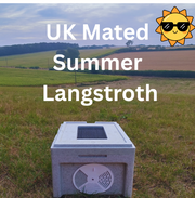 Dorset Poly Summer Langstroth Nucleus Colony - 2026 Delivery